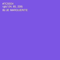 #7C55E4 - Blue Marguerite Color Image