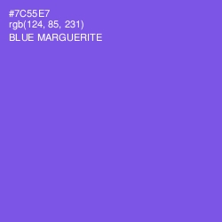 #7C55E7 - Blue Marguerite Color Image