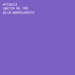 #7C60C3 - Blue Marguerite Color Image