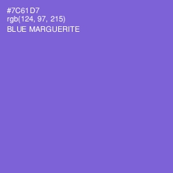 #7C61D7 - Blue Marguerite Color Image