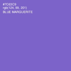 #7C63C9 - Blue Marguerite Color Image