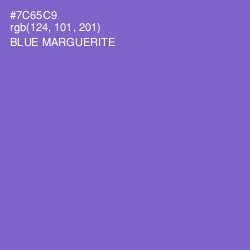 #7C65C9 - Blue Marguerite Color Image
