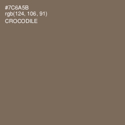 #7C6A5B - Crocodile Color Image