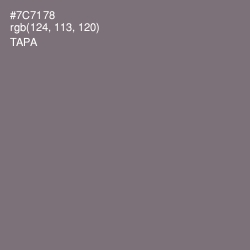 #7C7178 - Tapa Color Image