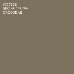 #7C725E - Crocodile Color Image