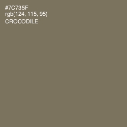 #7C735F - Crocodile Color Image