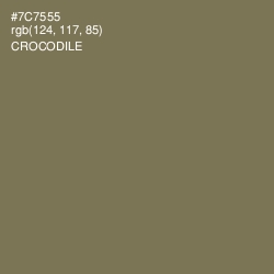 #7C7555 - Crocodile Color Image