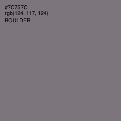 #7C757C - Boulder Color Image