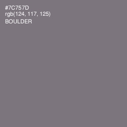#7C757D - Boulder Color Image