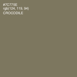 #7C775E - Crocodile Color Image