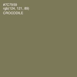 #7C7959 - Crocodile Color Image
