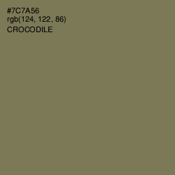 #7C7A56 - Crocodile Color Image