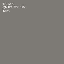 #7C7A73 - Tapa Color Image