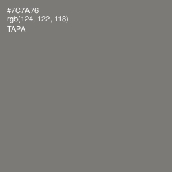 #7C7A76 - Tapa Color Image