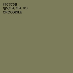 #7C7C5B - Crocodile Color Image