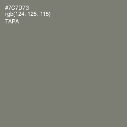 #7C7D73 - Tapa Color Image