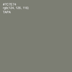 #7C7E74 - Tapa Color Image