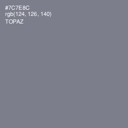 #7C7E8C - Topaz Color Image