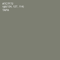 #7C7F72 - Tapa Color Image
