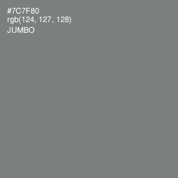 #7C7F80 - Jumbo Color Image