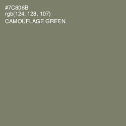 #7C806B - Camouflage Green Color Image