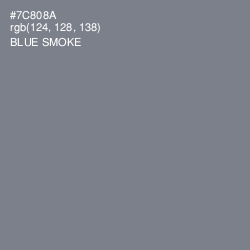 #7C808A - Blue Smoke Color Image