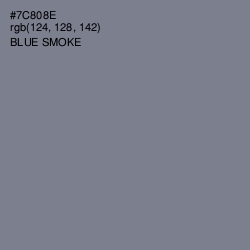 #7C808E - Blue Smoke Color Image