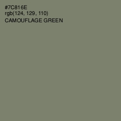 #7C816E - Camouflage Green Color Image