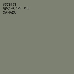 #7C8171 - Xanadu Color Image