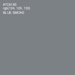 #7C8185 - Blue Smoke Color Image