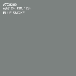 #7C8280 - Blue Smoke Color Image