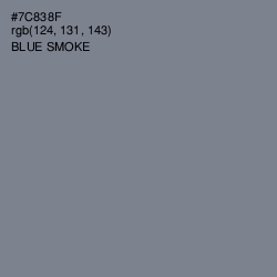 #7C838F - Blue Smoke Color Image