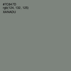 #7C847D - Xanadu Color Image