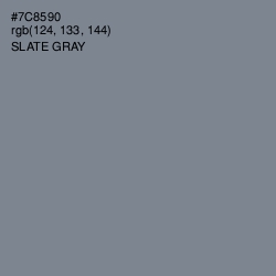 #7C8590 - Slate Gray Color Image
