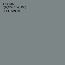 #7C8687 - Blue Smoke Color Image
