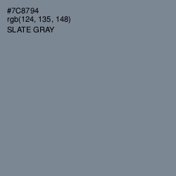 #7C8794 - Slate Gray Color Image