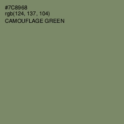 #7C8968 - Camouflage Green Color Image