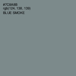 #7C8A8B - Blue Smoke Color Image