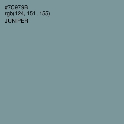 #7C979B - Juniper Color Image
