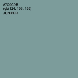 #7C9C9B - Juniper Color Image