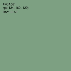 #7CA081 - Bay Leaf Color Image