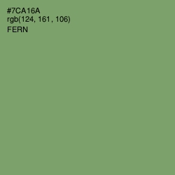 #7CA16A - Fern Color Image