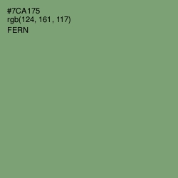 #7CA175 - Fern Color Image