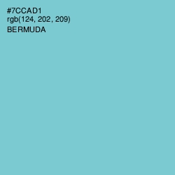 #7CCAD1 - Bermuda Color Image