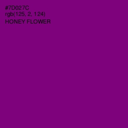 #7D027C - Honey Flower Color Image