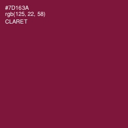 #7D163A - Claret Color Image