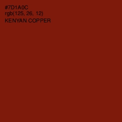 #7D1A0C - Kenyan Copper Color Image