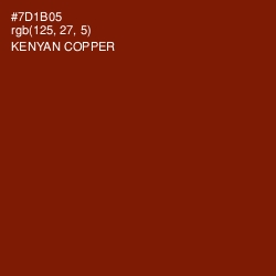#7D1B05 - Kenyan Copper Color Image