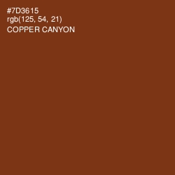#7D3615 - Copper Canyon Color Image