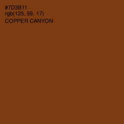 #7D3B11 - Copper Canyon Color Image